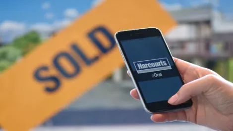 Harcourts Real Estate wins elite Apple recognition