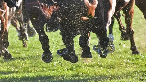Takeaways of a data center guy after Cloud Computing wins the Preakness