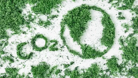 HPE, Facebook and Microsoft open up patent books in effort to tackle climate change