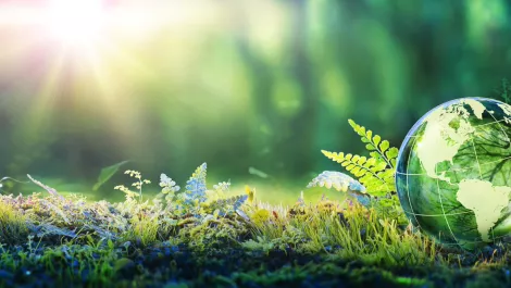Sustainability is a business imperative - can technology save us?