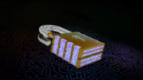 Private details of Otago students were exposed by digital fault