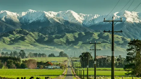 Govt paper pushes case for fibre connectivity in rural NZ