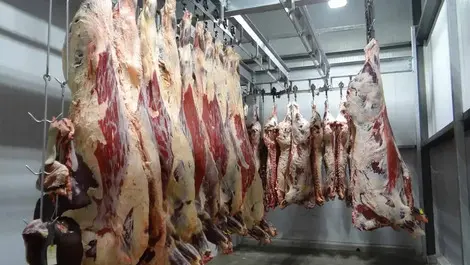 $500k fine for meatworks death